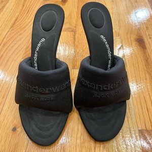 Alexander wang heals